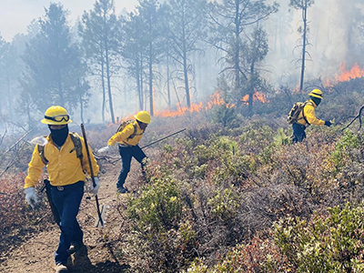 Brigadistas luchan contra incendios forestales en zona serrana de Chihuahua. Acciones de prevención y control continúan en múltiples municipios.