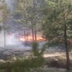 ¡El incendio forestal en Casas Grandes ha sido controlado! ¡Acción rápida y eficaz de los brigadistas! ¡Gran trabajo en equipo!