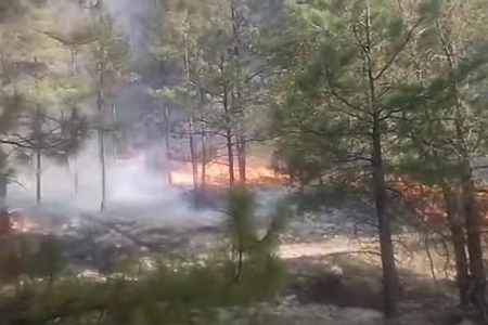 ¡El incendio forestal en Casas Grandes ha sido controlado! ¡Acción rápida y eficaz de los brigadistas! ¡Gran trabajo en equipo!