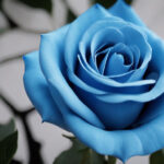 Rosas azules: flores únicas y fascinantes que sorprenden con su belleza y rareza en el mundo floral