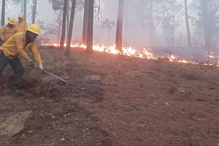 Brigadistas combatiendo un incendio forestal en la Sierra Tarahumara, equipados con herramientas especializadas proporcionadas por la Secretaría de Desarrollo Rural.