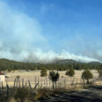 La Conafor informa sobre 17 incendios forestales activos en Chihuahua, incluyendo uno en Rocheachi. 250 brigadistas trabajan para controlarlos.