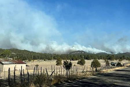 La Conafor informa sobre 17 incendios forestales activos en Chihuahua, incluyendo uno en Rocheachi. 250 brigadistas trabajan para controlarlos.