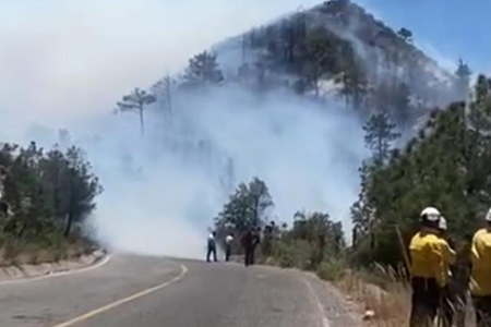 Los incendios forestales en Chihuahua afectan 7,460 hectáreas, según Conafor. Más de 950 combatientes y brigadistas trabajan para controlar los siniestros.