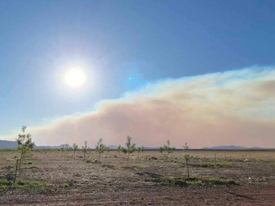 Columna de humo de incendios forestales en Chihuahua, visible desde Casas Grandes y Buenaventura. Impactante muestra de la magnitud del desastre ambiental