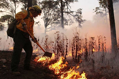 Brigadistas combatiendo un incendio forestal en Balleza, Chihuahua. El siniestro, que afectó más de 2,300 hectáreas, fue controlado después de días de trabajo. A pesar de este logro, 10 incendios más permanecen activos en el estado, afectando una superficie preliminar de 6,636 hectáreas.