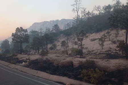 Escena de la carretera entre Rocheachi y Guachochi en Chihuahua, ahora reabierta al tráfico tras un incendio forestal. La CEPC supervisa las condiciones de seguridad vial.