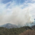 Brigadistas de la Conafor combatiendo uno de los diez incendios forestales activos en Chihuahua, que afectan más de 400 hectáreas en Urique, Guadalupe y Calvo, Bocoyna, Morelos y Batopilas.