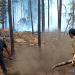 Imagen de brigadistas combatiendo uno de los siete incendios forestales activos en Chihuahua, afectando más de 11 mil hectáreas, según el reporte de la Conafor.
