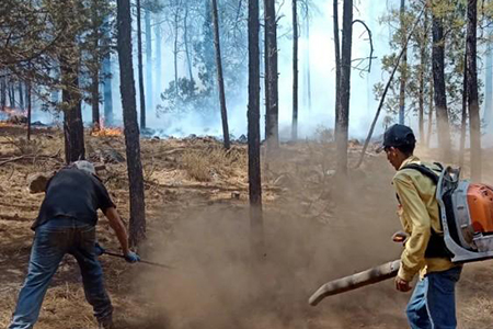 Imagen de brigadistas combatiendo uno de los siete incendios forestales activos en Chihuahua, afectando más de 11 mil hectáreas, según el reporte de la Conafor.