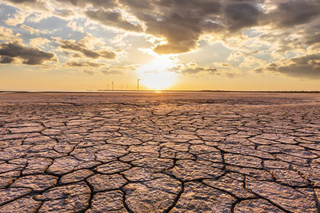 Conmemora el Día Mundial de Lucha contra la Desertificación y la Sequía 2024 con acciones concretas para un futuro sostenible. Aprende cómo la reforestación, la gestión del agua y prácticas agrícolas sostenibles pueden hacer la diferencia.