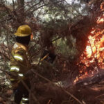 Imagen de un incendio forestal en Chihuahua, donde 54 mil 918 hectáreas han sido consumidas, destacando la magnitud del desastre y los esfuerzos de combate de 150 brigadas y mil 364 combatientes