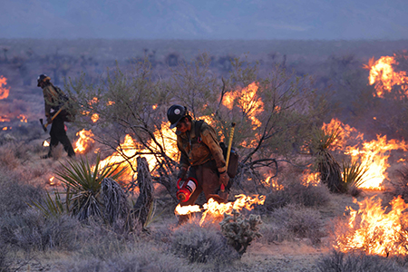 Imagen de brigadistas combatiendo incendios forestales en Chihuahua, donde las recientes lluvias han ayudado a reducir los incendios activos de más de veinte a seis.