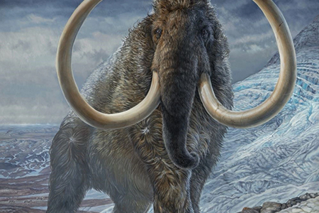 La última población de mamuts lanudos en la isla Wrangel sobrevivió 6 mil años pese a la endogamia. Un estudio genómico revela su historia y su inesperada extinción.