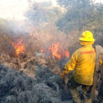 Alerta en Chihuahua: Incendio forestal en Bocoyna requiere evacuación inmediata. Mantente informado con nuestras actualizaciones.