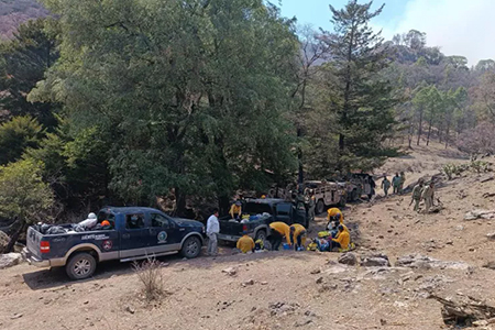 Personal de Protección Civil evaluando los daños causados por incendios forestales en la Sierra Tarahumara, específicamente en la comunidad de San Elías, Bocoyna.