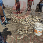 Jorge Chío Portillo emite alerta sobre el consumo de pescado de la Laguna Grande, esperando estudio de SEMARNAT.