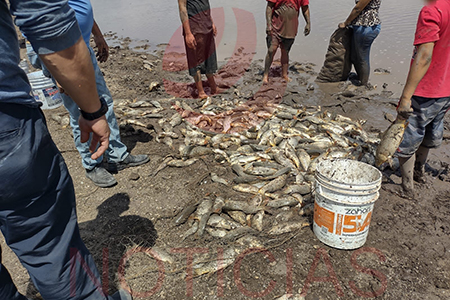 Jorge Chío Portillo emite alerta sobre el consumo de pescado de la Laguna Grande, esperando estudio de SEMARNAT.