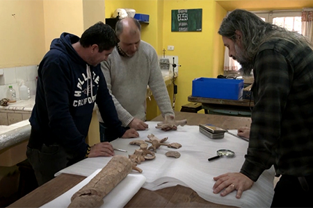 Huesos fosilizados de Neosclerocalyptus con marcas de cortes, indicando presencia humana hace 21,000 años en Argentina.