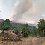 Incendio forestal en el municipio de Janos, Chihuahua, avanza sin contención. Conafor reporta situación preocupante en el Ejido Cinco de Mayo.