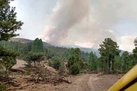 Incendio forestal en el municipio de Janos, Chihuahua, avanza sin contención. Conafor reporta situación preocupante en el Ejido Cinco de Mayo.