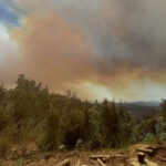 Vista aérea del Área Natural Protegida de Janos, donde las lluvias extinguieron el reciente incendio forestal.