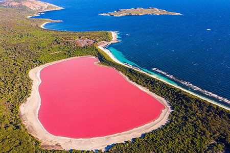 Descubre los lagos rosados de Australia y su fascinante fenómeno natural. Aprende por qué estos lagos tienen un color tan especial.