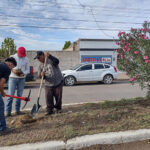 Autoridades locales reforestando el camellón de la calle Emilio Carranza en Nuevo Casas Grandes, en colaboración con San Marcos Verde.