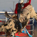 Participantes del Rodeo Expo Casas Grandes 2024, evento avalado por la Asociación Estatal de Rodeo de Chihuahua, con vaqueros y vaqueras de alto nivel.