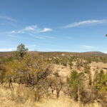 Disfruta de la tranquilidad y biodiversidad del Área Natural Protegida Campo Verde, un refugio natural perfecto para el ecoturismo y la conservación.