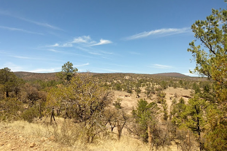 Disfruta de la tranquilidad y biodiversidad del Área Natural Protegida Campo Verde, un refugio natural perfecto para el ecoturismo y la conservación.