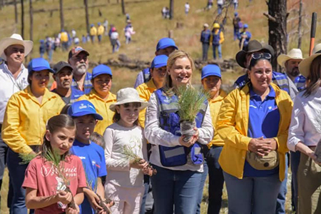 Maru Campos en colaboración con Fundación Grupo México distribuye 220 mil árboles en la Sierra Tarahumara.