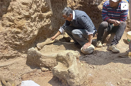 Paleontólogos en Perú han descubierto los restos de tres mastodontes de la Edad de Hielo en el valle de Chambara, ofreciendo nuevas perspectivas sobre estas antiguas criaturas.