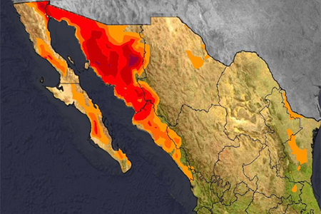 Hoy no se esperan lluvias en Chihuahua, con cielo despejado, clima fresco por la mañana y vientos de hasta 60 km/h.