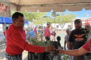 Feria de servicios en Nuevo Casas Grandes, con donación de plantas y árboles; iniciativa de la presidente municipal Edith Escárcega