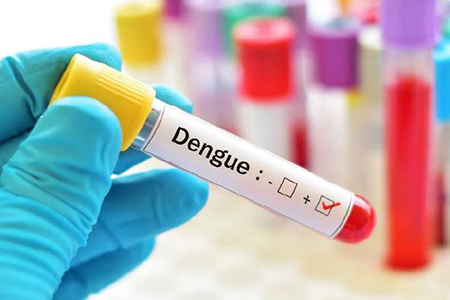 Confirmados 142 casos de dengue en Chihuahua; Delicias encabeza la lista con 86 contagios, seguido de Jiménez, Juárez y otros municipios, según autoridades de salud.