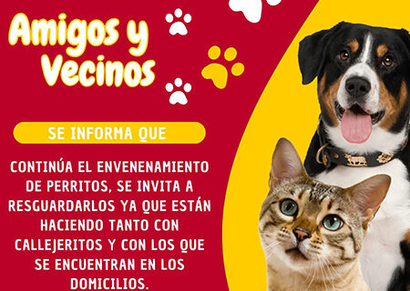 Nuevo Casas Grandes reporta más casos de envenenamiento de mascotas; se insta a la comunidad a resguardar y denunciar cualquier sospecha.