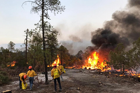 Incendio en el Ejido Aguaropachi, Chínipas, sigue fuera de control afectando más de 220 hectáreas de terreno forestal.