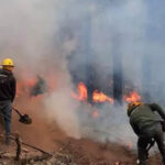 Incendio en Chínipas, Chihuahua, alcanza 450 hectáreas, con un 50% de control y 40% de liquidación según Conafor.