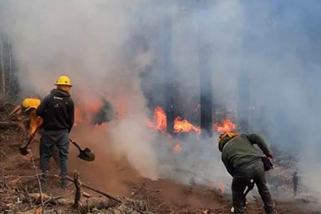 Incendio en Chínipas, Chihuahua, alcanza 450 hectáreas, con un 50% de control y 40% de liquidación según Conafor.