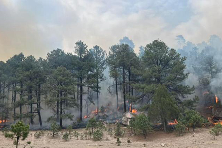 El municipio de Chínipas, Chihuahua, enfrenta el incendio forestal más grande, con 153 hectáreas afectadas y sin control conocido.