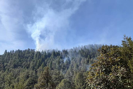 Conafor informa la liquidación de un incendio en Chínipas, Chihuahua, que afectó 493 hectáreas tras dos semanas de combate.