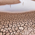 La situación de sequía en Chihuahua se agrava: una actualización completa sobre cómo los niveles de sequía están afectando dramáticamente la vida y el paisaje en el estado, con impactos desde corto hasta largo plazo.