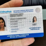 La diputada Lizzy Guzmán propone licencias de conducir permanentes en Chihuahua para automovilistas particulares, eliminando trámites de renovación.