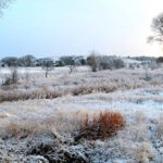 Heladas en Chihuahua por frente frío número 7: El Vergel -5.8°C y Majalca -2.5°C; la CEPC emite recomendaciones ante el descenso de temperaturas.