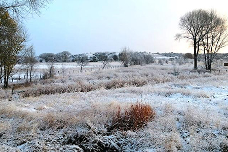 Heladas en Chihuahua por frente frío número 7: El Vergel -5.8°C y Majalca -2.5°C; la CEPC emite recomendaciones ante el descenso de temperaturas.