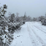 La Sierra de Chihuahua se prepara para las primeras nevadas de la temporada, con temperaturas de -10 a -5°C y fuertes vientos por el Frente Frío Número 7.