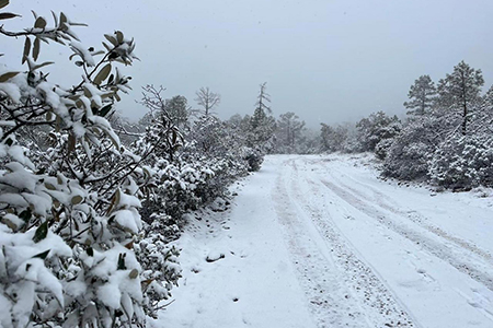 La Sierra de Chihuahua se prepara para las primeras nevadas de la temporada, con temperaturas de -10 a -5°C y fuertes vientos por el Frente Frío Número 7.