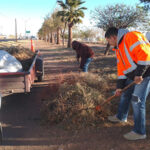 Servicios Públicos de Chihuahua intensifica limpieza en parques, jardines y avenidas, con un programa permanente que mejora espacios públicos para los ciudadanos.