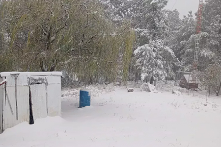 La primera Tormenta Invernal de la temporada afecta municipios de Chihuahua con nevadas, incendios y cortes de energía. Protección Civil emite recomendaciones.